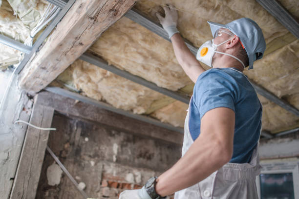 Best Insulation Maintenance and Repair in Florham Park, NJ